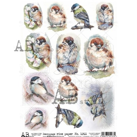 Papier ryżowy Abstudio A4 AB-1261
