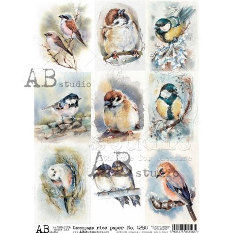 Papier ryżowy Abstudio A4 AB-1280