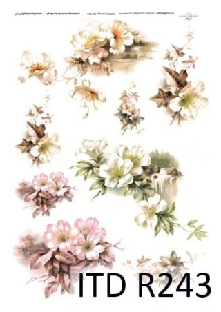 ITD Papier ryżowy A4 itdR243