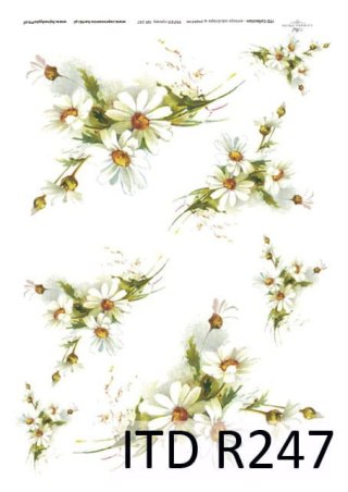 ITD Papier ryżowy A4 itdR247