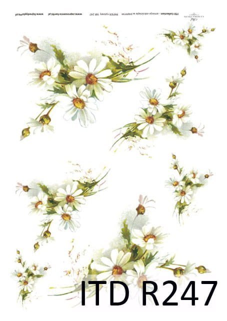 ITD Papier ryżowy A4 itdR247