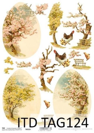 Papier do scrapbookingu A4 ITD TAG0124