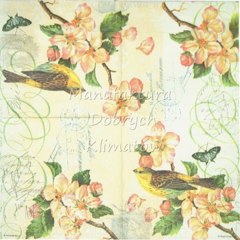 Serwetka nr. 1259 [33x33]