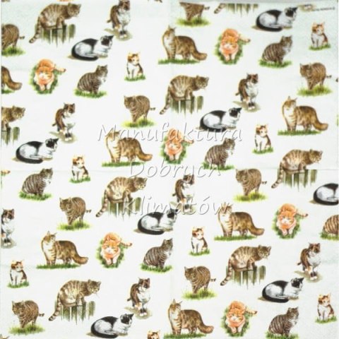 Serwetka nr. 1263 [33x33]