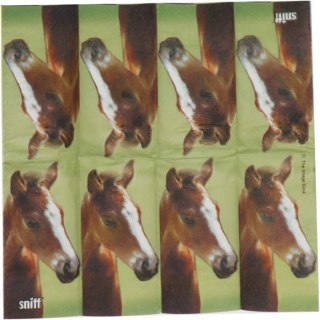 Serwetka nr. 886 little horse [21x21]