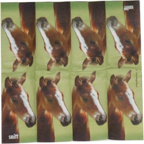 Serwetka nr. 886 little horse [21x21]