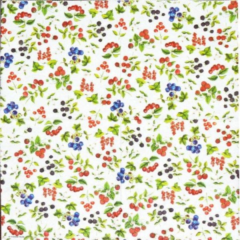 Serwetka nr. 1628 Fruit [33x33]