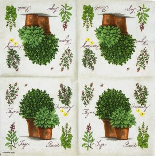 Serwetka nr. 1639 Mixed herbs [33x33]