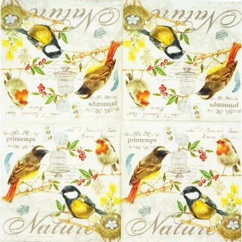 Serwetka nr. 1707 Les oiseaux [33x33]