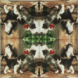 Serwetka nr. 1720 Kitties meeting [33x33]