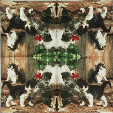 Serwetka nr. 1720 Kitties meeting [33x33]