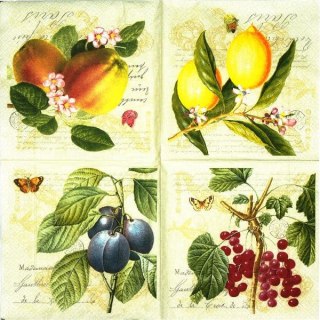 Serwetka nr. 1752 Ribes botanical [33x33]