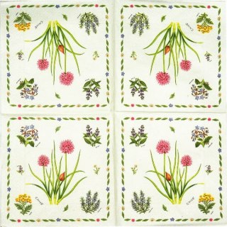 Serwetka nr. 1755 Herb garden [33x33]