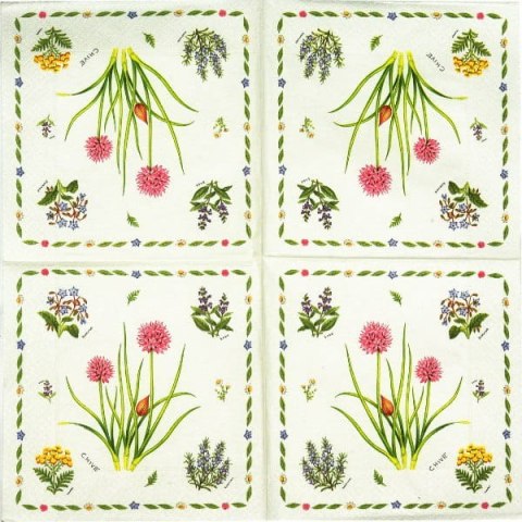 Serwetka nr. 1755 Herb garden [33x33]