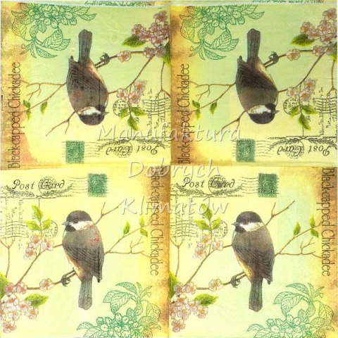 Serwetka nr. 1786 [33x33]