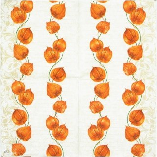 Serwetka nr. 2005 [33x33]