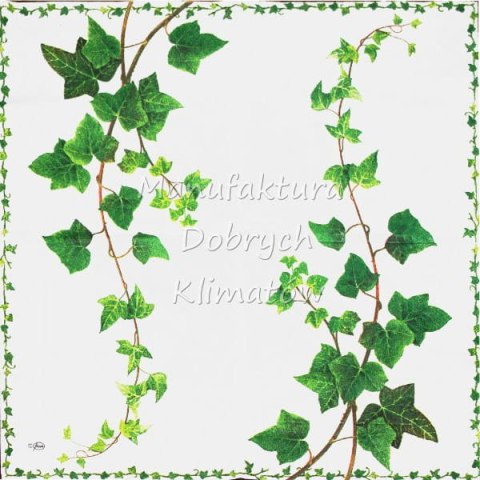 Serwetka nr. 2060 Ivy tendril [33x33]