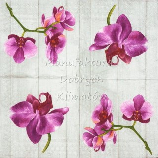 Serwetka nr. 2062 Single orchid [33x33]
