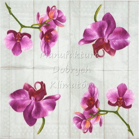 Serwetka nr. 2062 Single orchid [33x33]