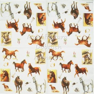 Serwetka nr. 2072 Horse world [33x33]