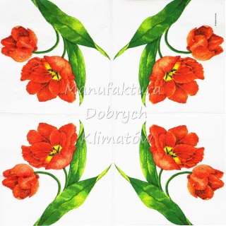 Serwetka nr. 2073 Big tulips [33x33]
