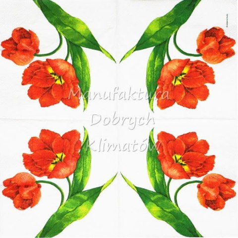 Serwetka nr. 2073 Big tulips [33x33]