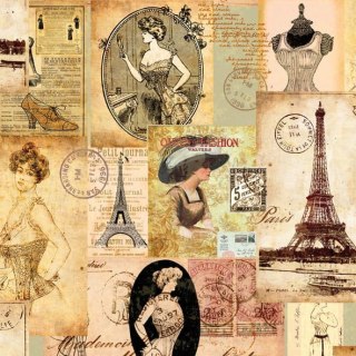 Serwetka nr. 2089 Madame a Paris [25x25]