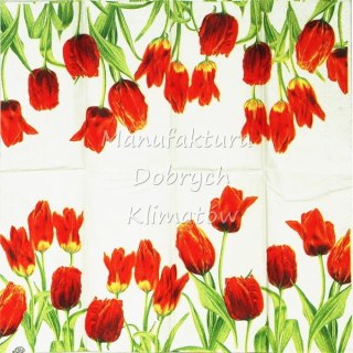 Serwetka nr. 2093 Ladies in red [21x21]