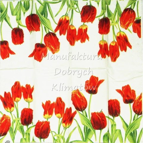 Serwetka nr. 2093 Ladies in red [21x21]