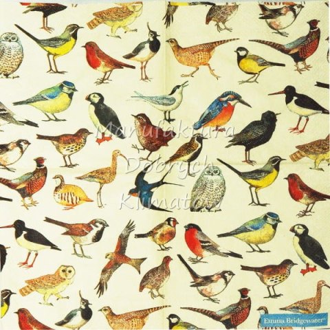 Serwetka nr. 2096 British birds [25x25]