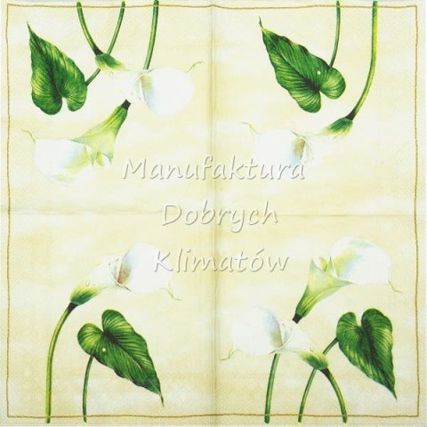 Serwetka nr. 2104 Arum lily [33x33]