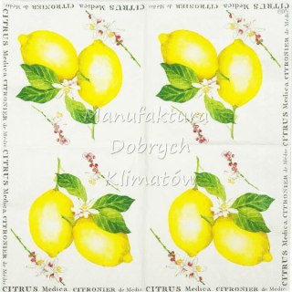 Serwetka nr. 2113 Citrus medica [33x33]