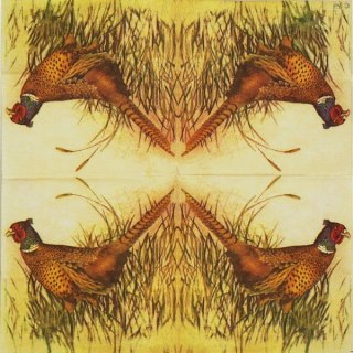 Serwetka nr. 2164 [33x33]