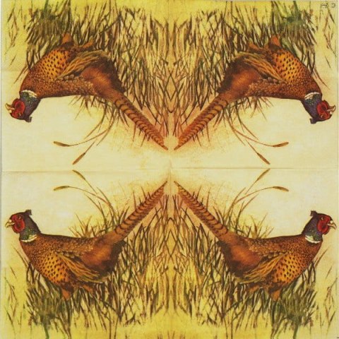 Serwetka nr. 2164 [33x33]