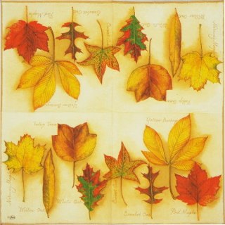 Serwetka nr. 2195 [33x33]