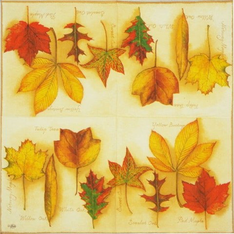 Serwetka nr. 2195 [33x33]