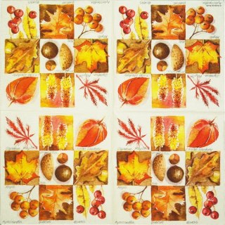 Serwetka nr. 2211 [33x33]