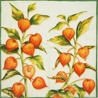 Serwetka nr. 2216 [33x33]