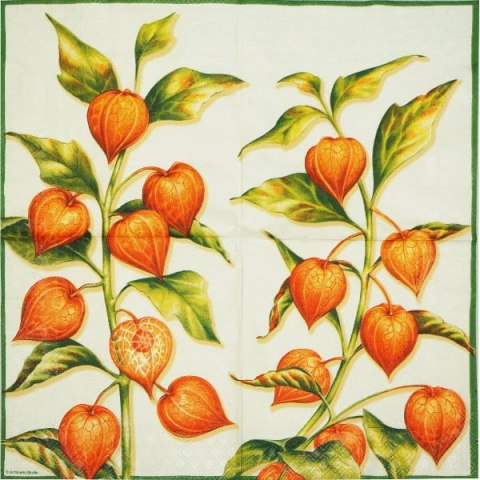 Serwetka nr. 2216 [33x33]