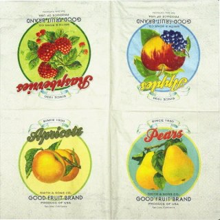 Serwetka nr. 2341 Retro fruits [33x33]