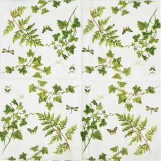 Serwetka nr. 2364 Ivies&Ferns [33x33]