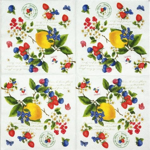 Serwetka nr. 2372 Secret garden [33x33]