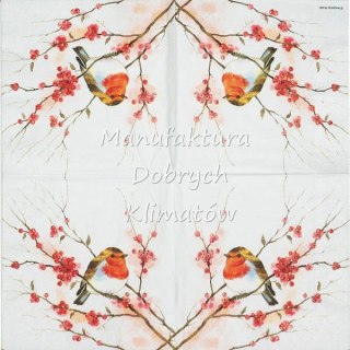 Serwetka nr. 2433 Birdy robin [33x33]