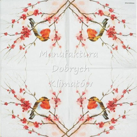 Serwetka nr. 2433 Birdy robin [33x33]