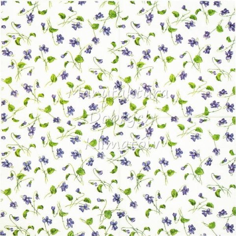 Serwetka nr. 2468 Viola riviniana [33x33]