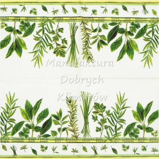 Serwetka nr. 2474 Culinary herbs [33x33]