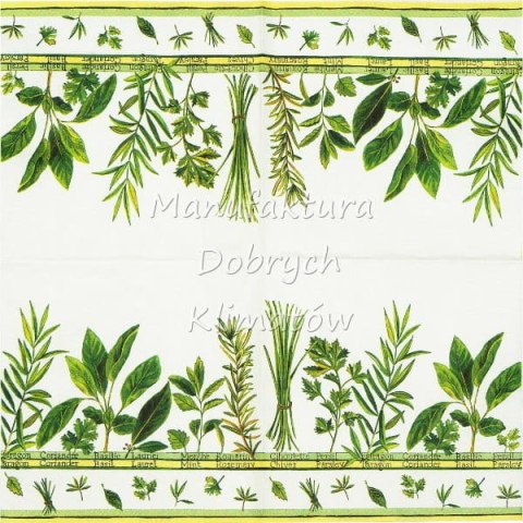 Serwetka nr. 2474 Culinary herbs [33x33]