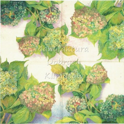 Serwetka nr. 2475 Hydrangea bush [33x33]