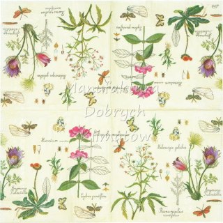 Serwetka nr. 2478 Pulsatilla [33x33]