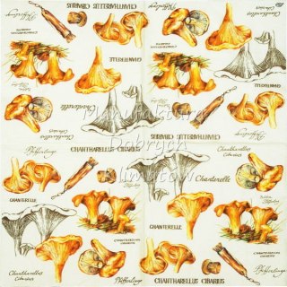 Serwetka nr. 2482 Chanterelle [33x33]